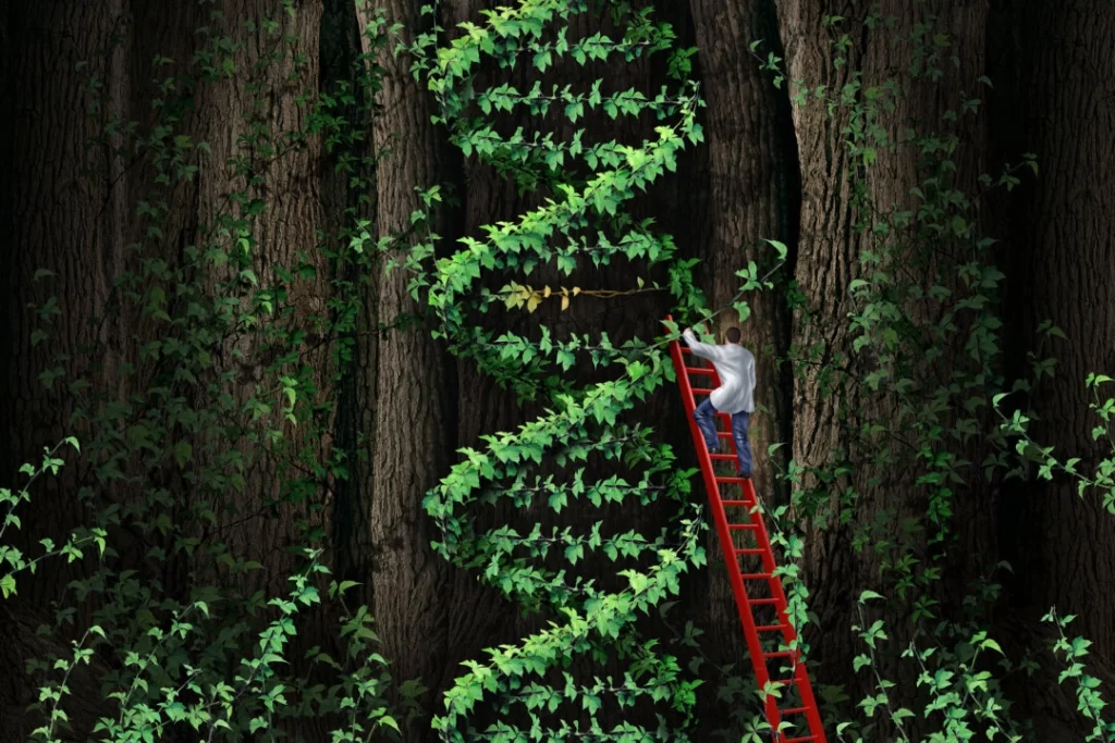 dna-repair-dr-jose-nasser-aquera