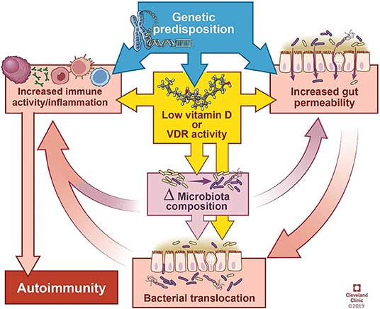 imunidade-genetica-dr-jose-nasser-aquera