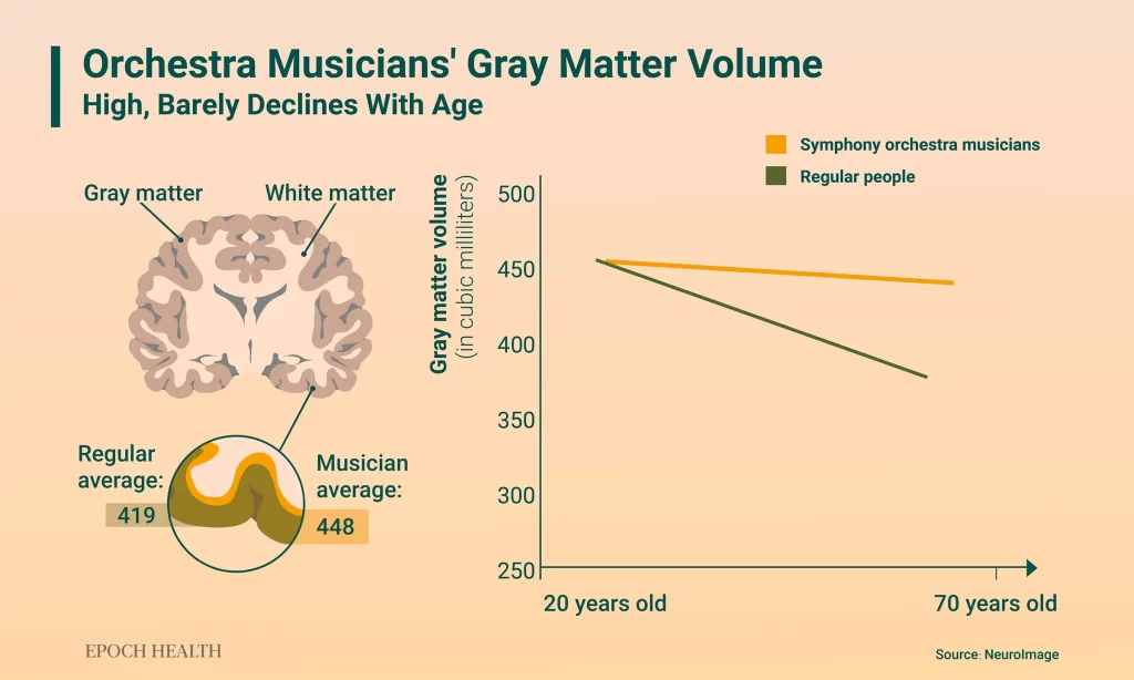 cortex-musicos-graph2-2-dr-jose-nasser-aquera