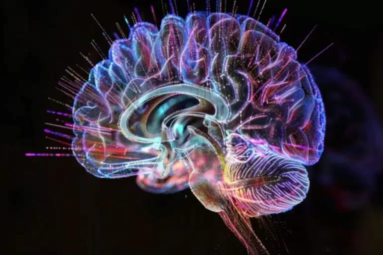 genetics-brain-development-dr-jose-nasser-aquera--770x513.jpg